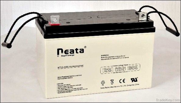 UPS Lead Acid Battery 12V100ah (ISO, CE, UL, RoHS)