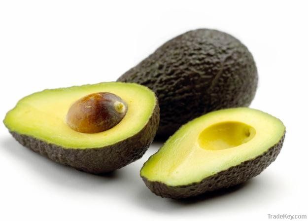 Avocado (aguacate) Hass