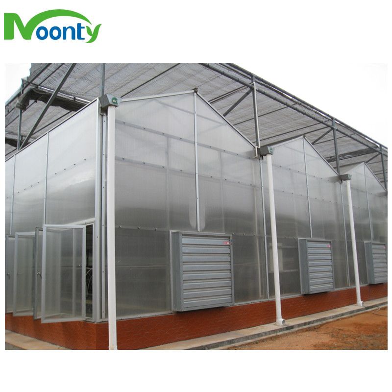 Multi span greenhouse for farm