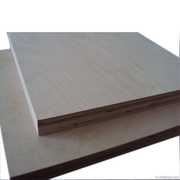 Birch Plywood