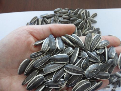 sunflower seeds market price