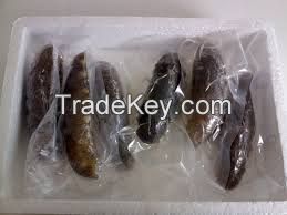 Sea cucumber, dry sea cucumber, dry white teat fish