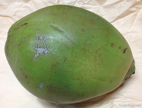 Green Coconut