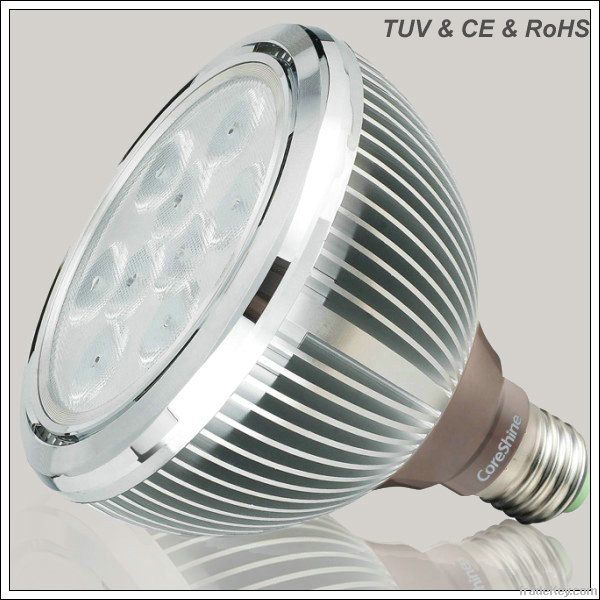 LED Light Par38