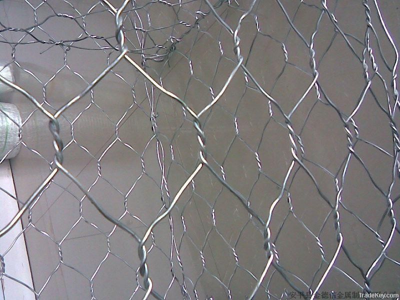 Hexagonal Wire Mesh/Chicken wire mesh netting