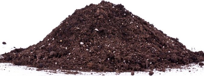 cow manure organic fertilizer