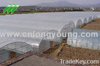 TUNNEL GREENHOUSE