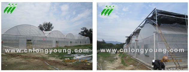 Plastic Film Multi-Span Greenhouse