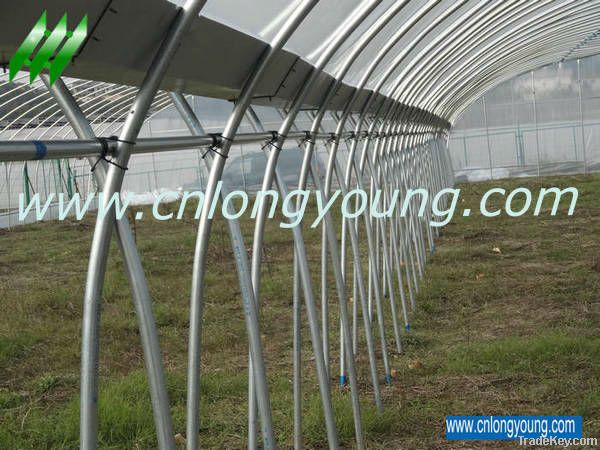 Tunnel-Connected Greenhouse