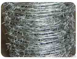 Barbed Iron Wire