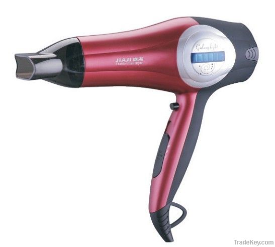 Professional Hair Dryer