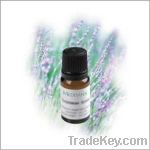 Lavender essential oil