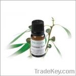 Eucalyptus Essential Oil