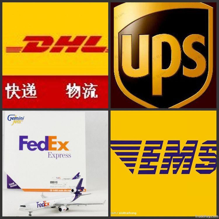 Express Delivery to U.S.A