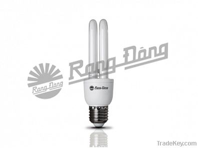 Compact Fluorescent Lamp (CFL Light)