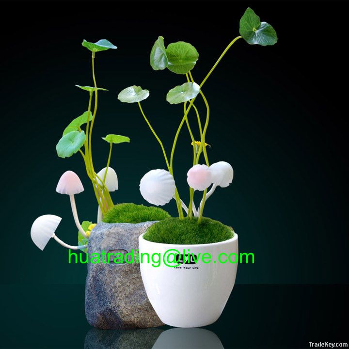 Mushroom bonsai light, LED decorative lamp, Mushroom LED lamp