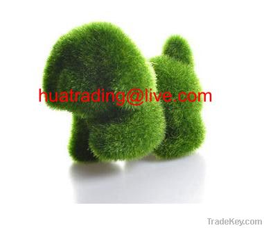 Artificial Grass Toy