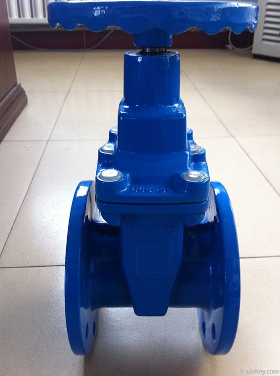 DIN F4 F5 Rubber wedge gate valve