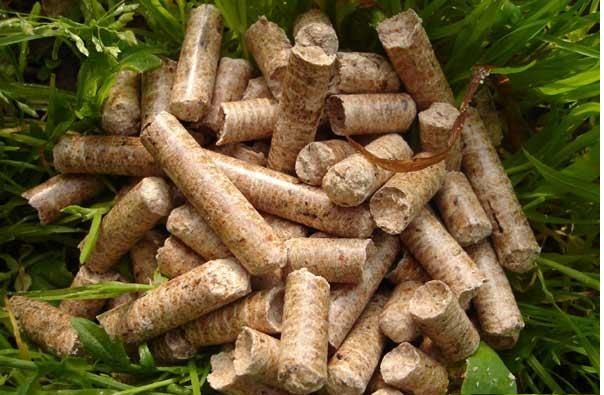 Wood pellet