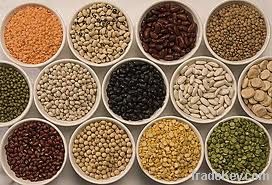 Kidney beans, Channa Dhal, Sorghum, Mung bean, Chickpeas, Lentils