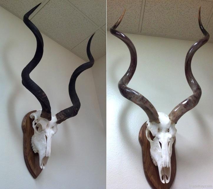 Animal horns