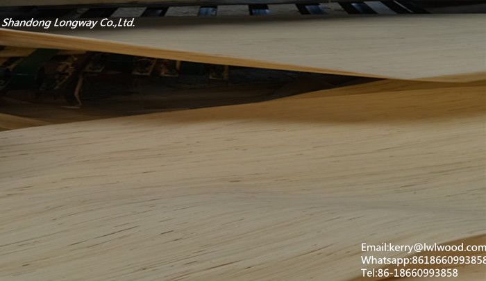 High Quality Okoume/bintangor/keruing/sapeli/radiate Pine engineered wood door veneer