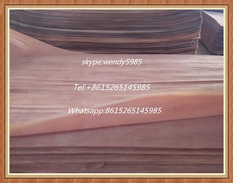 low price gurjan wood face veneer door skin