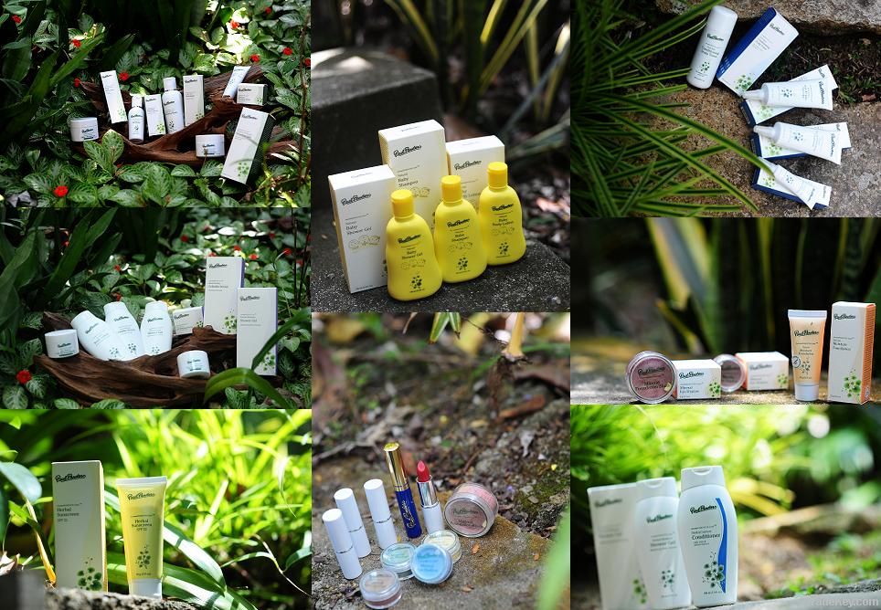 Paul Penders Botanical &amp; Certified Vegan Skincare and Cosmetics