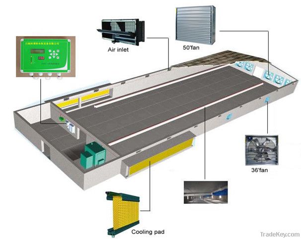 chicken farming equipment