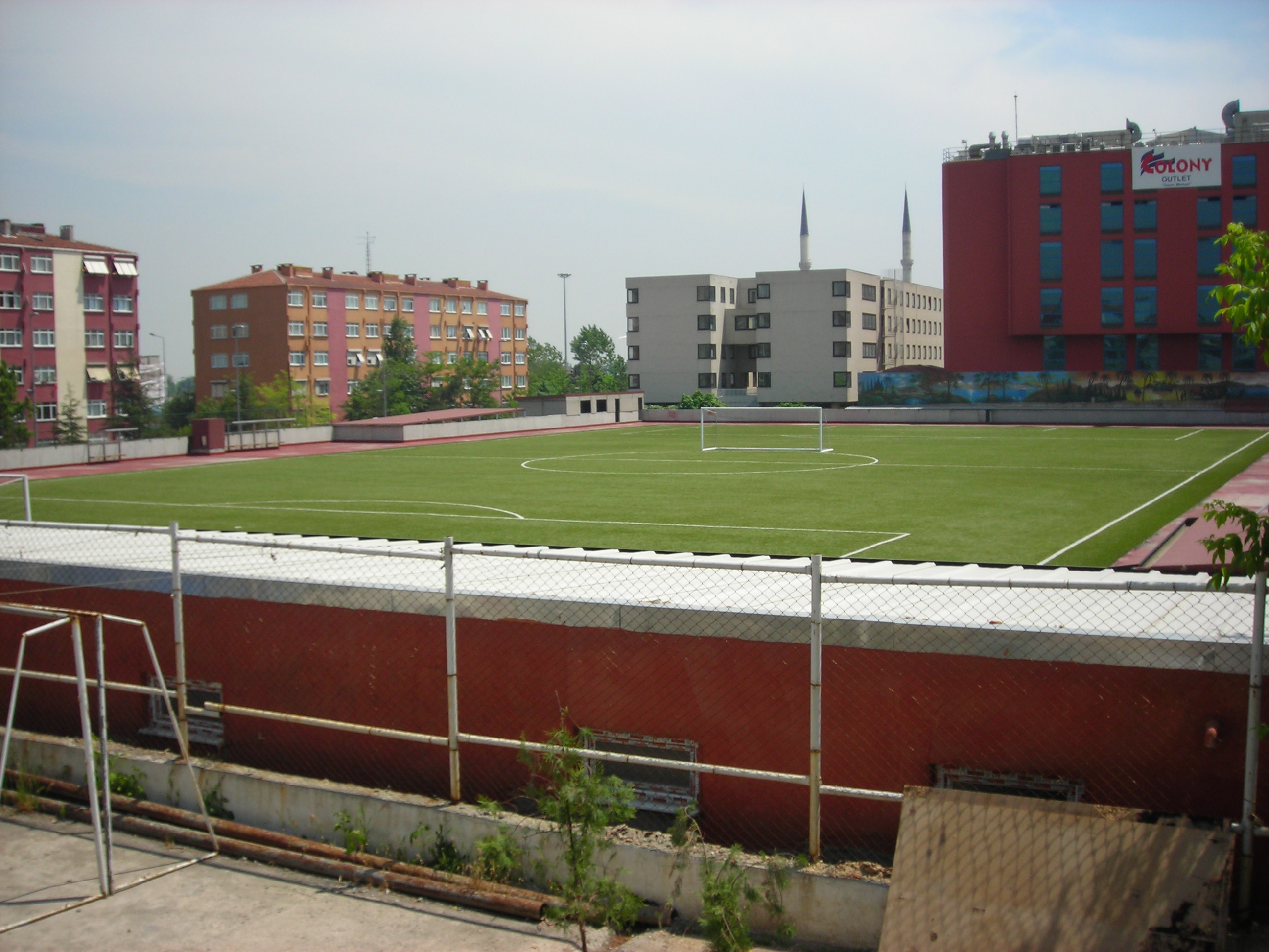 Synthetic Grass carpet