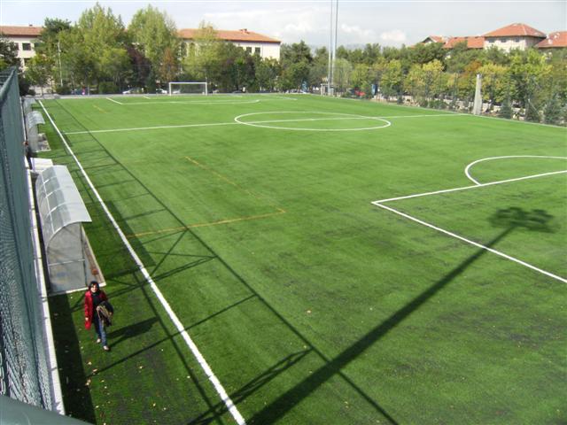 Artificial Grass