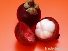 Mangosteen peel Extract