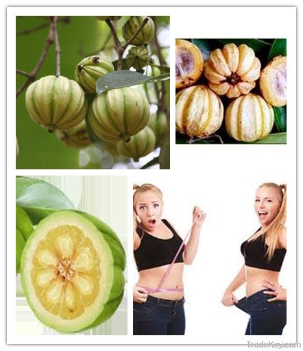 Garcinia Cambogia extract