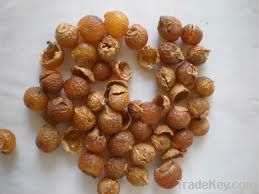 Organic SoapNuts