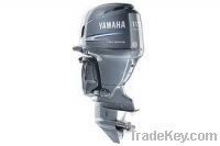 Yamaha Outboard Marine Engine