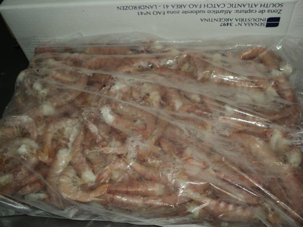 argentina red shrimp