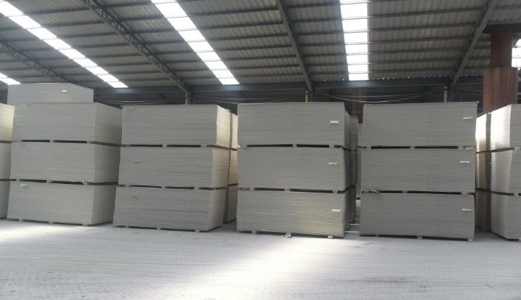 Gypsum Board