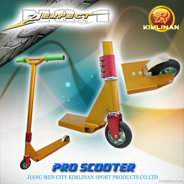 Professional Stunt Scooter