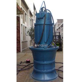 Submersible Axial Flow Pump