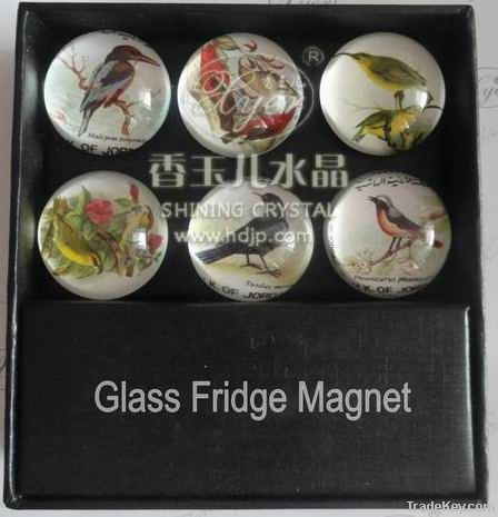 crystal fridge magnets