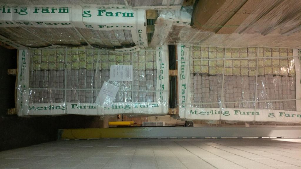 Natural Coconut Fiber Piths by Triumph Plant Co. 