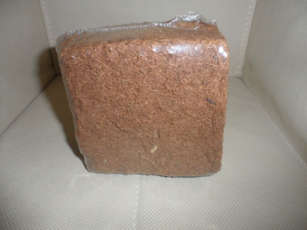 Natural Coconut Fiber Piths by Triumph Plant Co. 