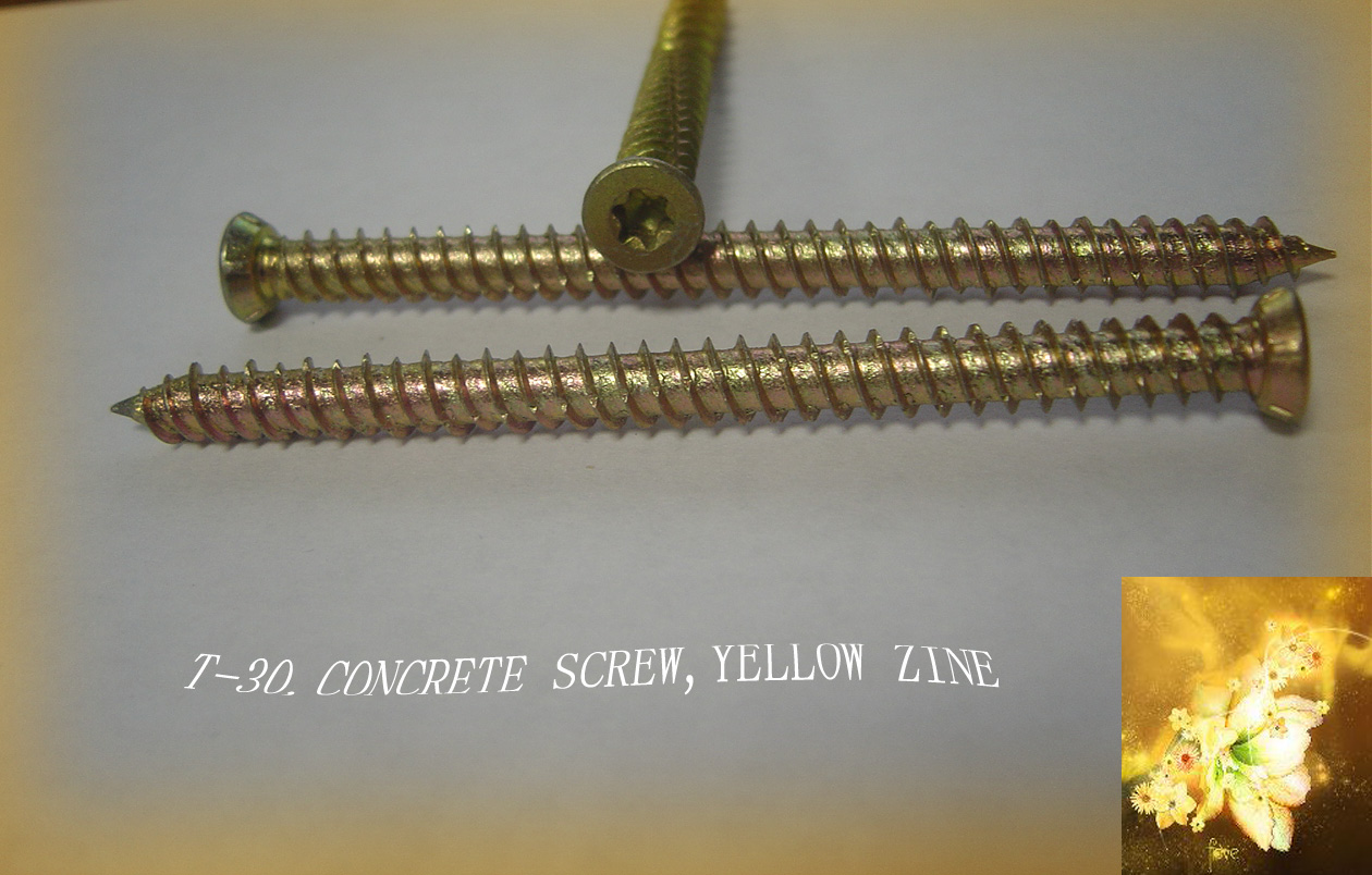 concrete screw