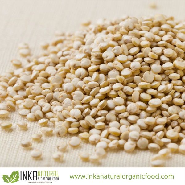 ORGANIC WHITE QUINOA Grain PREMIUM Certified