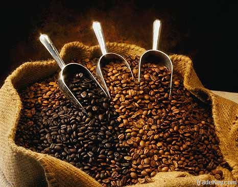 Robusta Coffee Beans