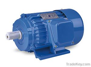 Y series three phase induction motor