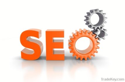 SEO Package Shanghai