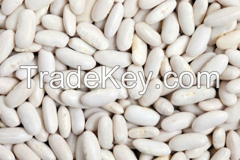 White Kidney Bean 