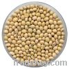 soyabean seeds