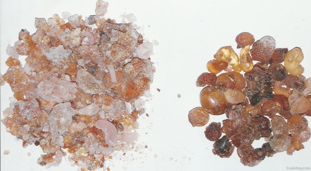 Gum Arabic